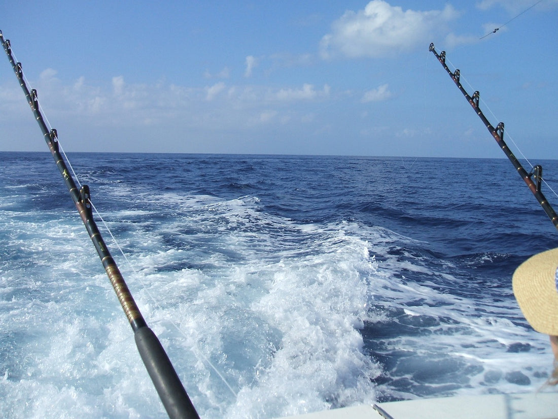 Deep sea fishing for marlin